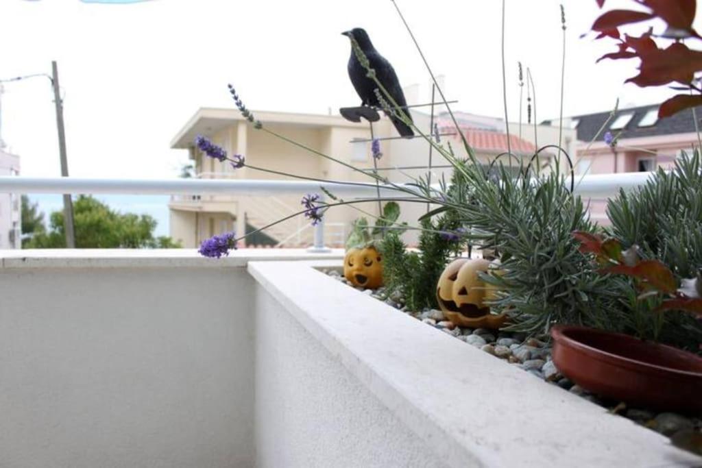 Maia'S Beach Studio Znjan Split Dış mekan fotoğraf